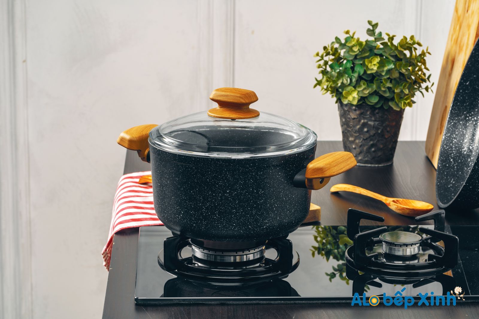 bếp ga giá rẻ tphcm