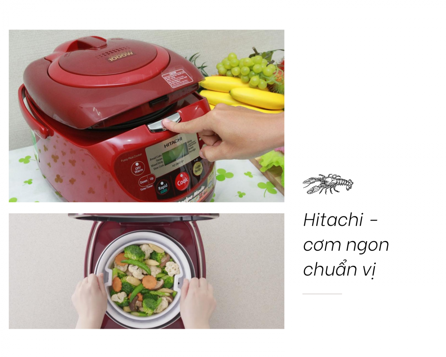 nồi cơm điện hitachi 