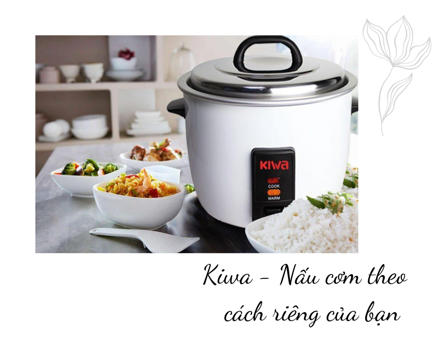 nồi cơm gas kiwa