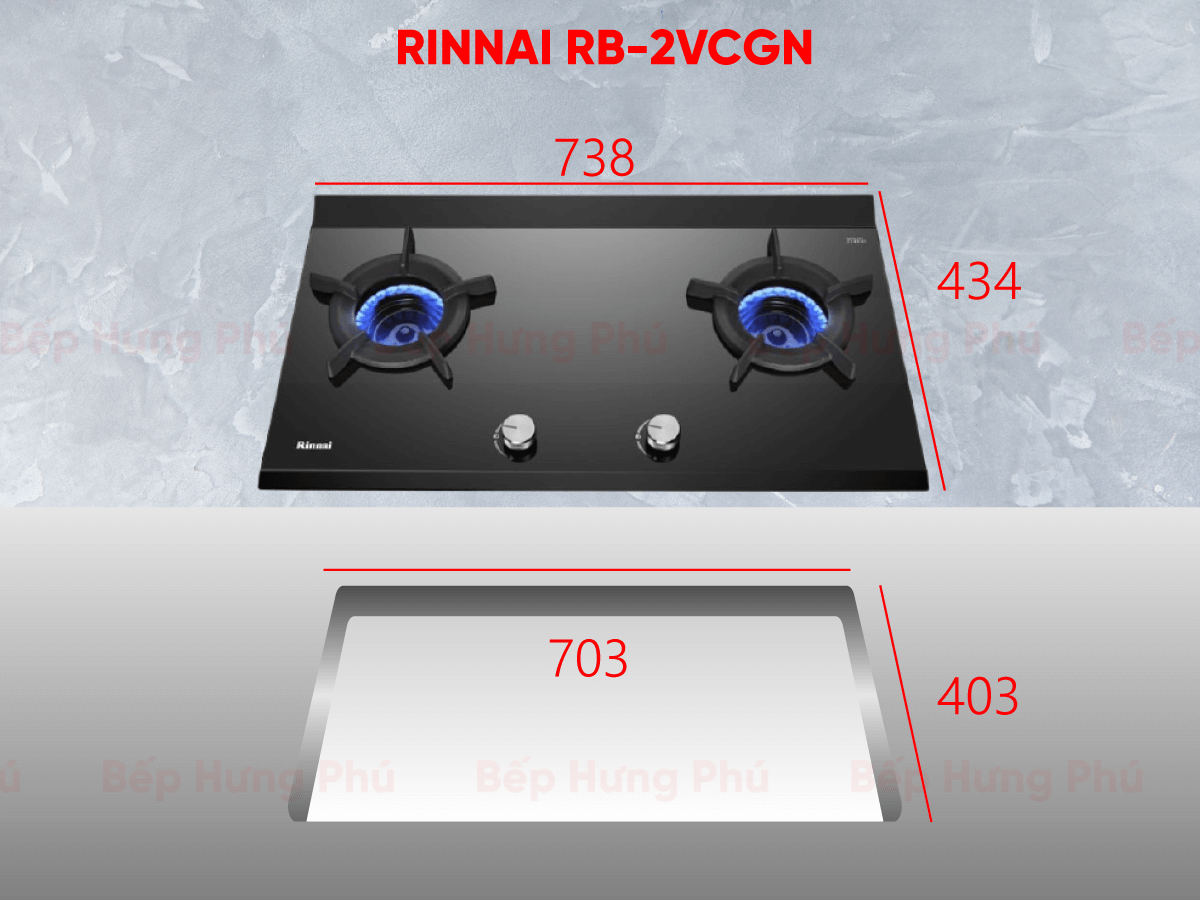 Bếp gas âm Rinnai RB-2VCGN - Nhập khẩu Nhật Bản