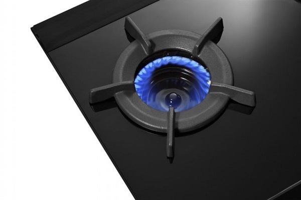 Bếp gas âm Rinnai RB-2VCGN - Nhập khẩu Nhật Bản